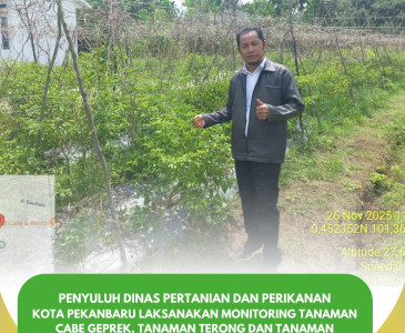 Penyuluh Pertanian Lakukan Monitoring ke Kelompok Tani Nuansa Jaya Tani