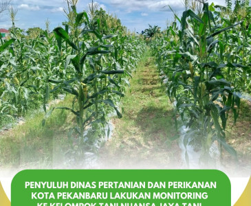 Penyuluh Melaksanakan Monitoring Tanaman Sayuran di Kelompok Tani Mandiri