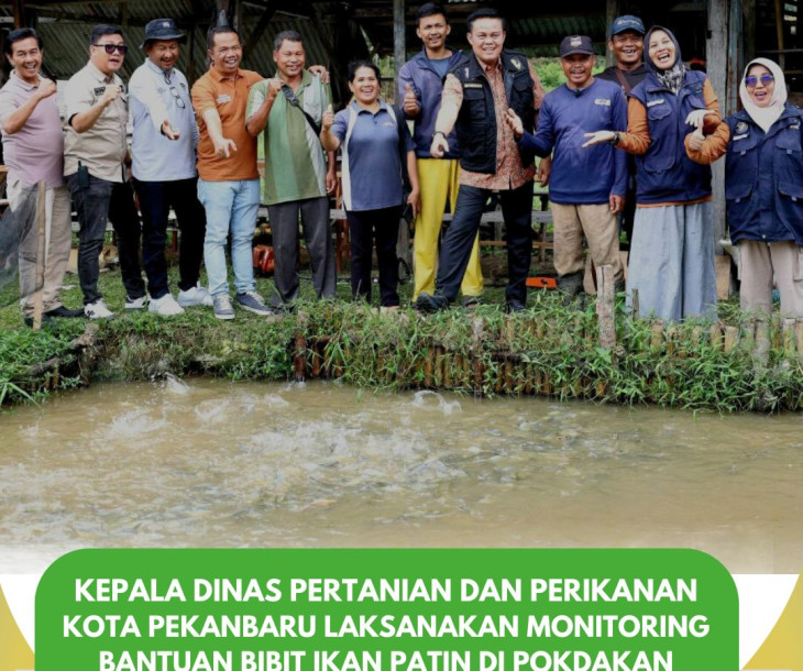 Monitoring Bantuan Bibit Ikan Patin di Pokdakan Patin Mentangor Indah