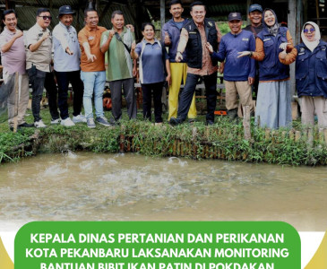 Kunjungan Studi Tiru KWT Putri Delima ke Kelompok Tani Mustang 1