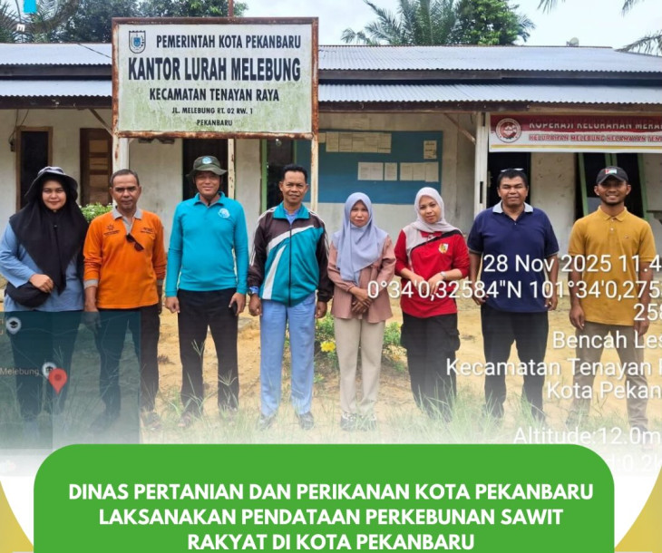 Melaksanakan Pendataan Perkebunan Sawit Rakyat