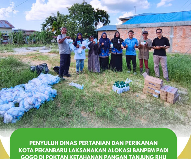 Penyuluh Dinas Pertanian dan Perikanan Kota Pekanbaru Laksanakan Alokasi Banpem Padi Gogo di Poktan Ketahanan Pangan Tanjung Rhu