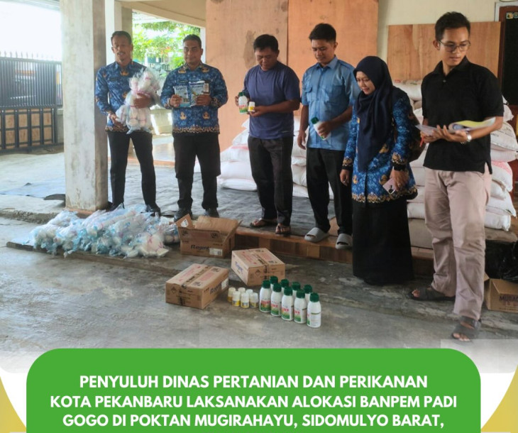 Penyuluh Dinas Pertanian dan Perikanan Kota Pekanbaru Laksanakan Alokasi Banpem Padi Gogo di Poktan Mugirahayu