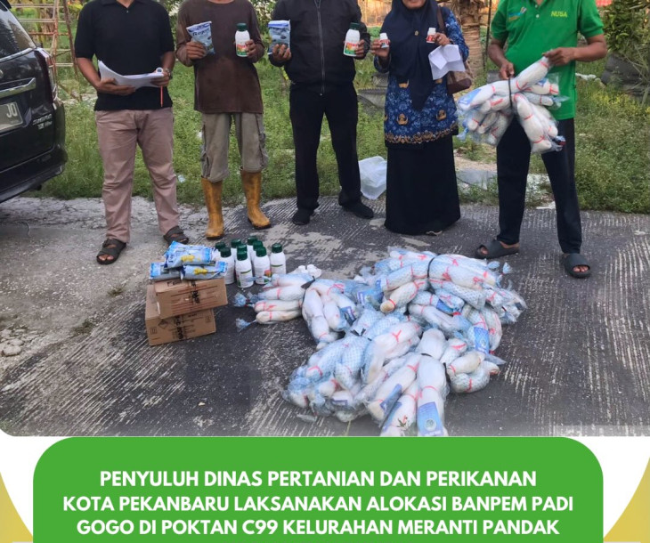 Penyuluh Dinas Pertanian dan Perikanan Kota Pekanbaru Laksanakan Alokasi Banpem Padi Gogo di Poktan C99