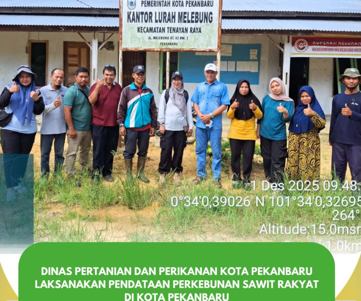 Melaksanakan Pendataan Perkebunan Sawit Rakyat Kelurahan Melebung