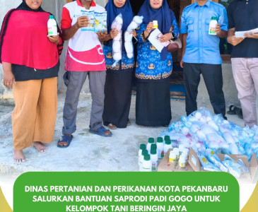 Monitoring Tanaman Tumpang Sari oleh Penyuluh Dinas Pertanian dan Perikanan Pekanbaru