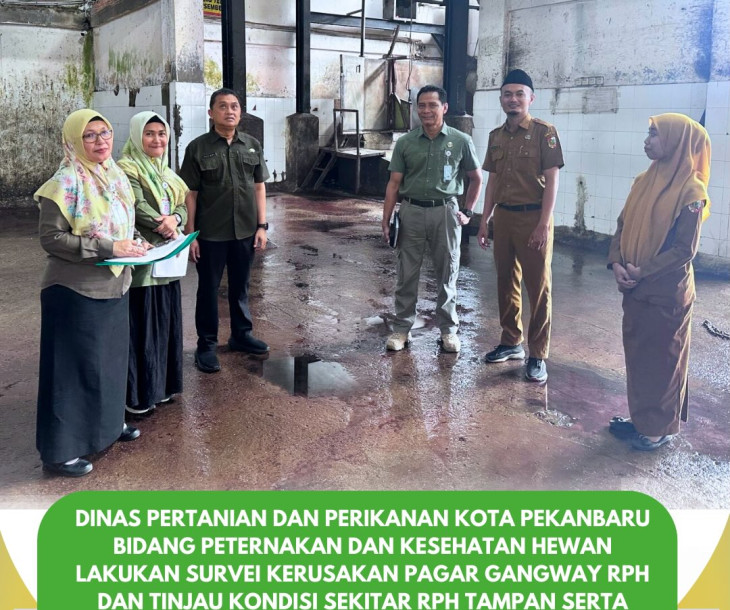 Bidang Peternakan dan Kesehatan Hewan melakukan survei lapangan di RPH Tampan dan Puskeswan Tampan