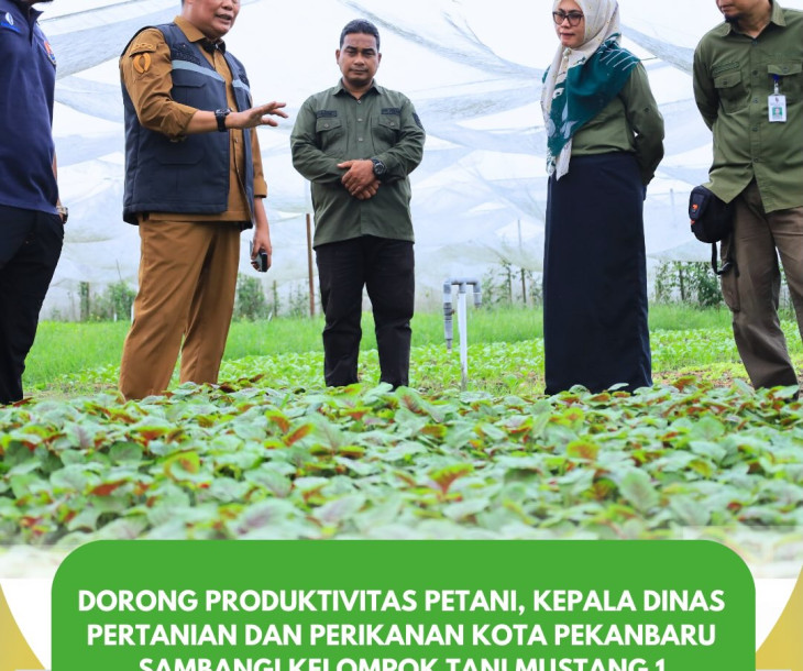 Dorong Produktivitas Petani, Kepala Dinas Pertanian dan Perikanan Kota Pekanbaru Sambangi Kelompok Tani Mustang 1