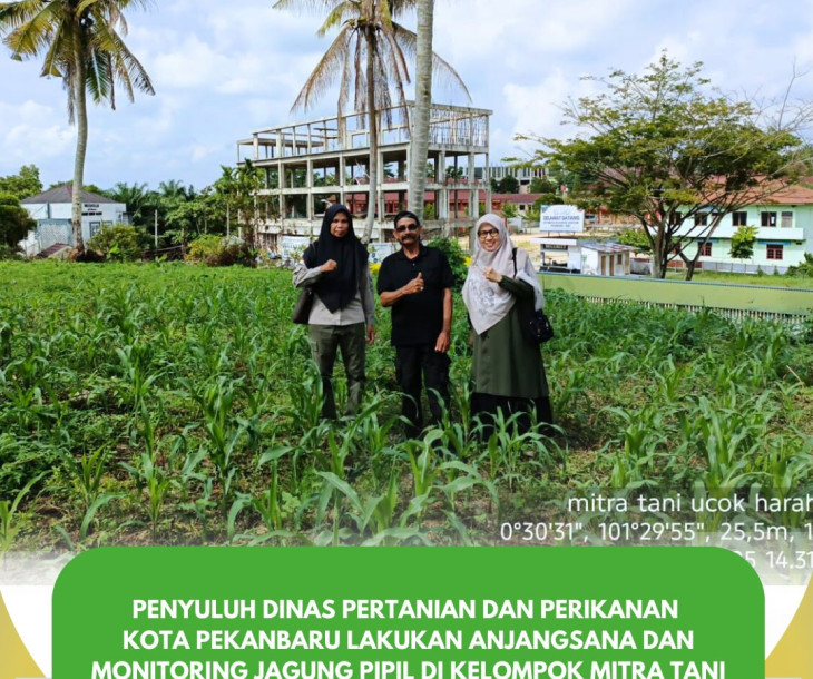 Anjangsana & Monitoring Jagung Pipil di Kelompok Mitra Tani