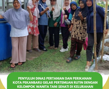 Monitoring Penanaman Jagung Pipil di Kelompok Tani Maju Bersama