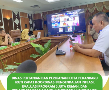 Monitoring Penanaman Jagung Pipil di Kelompok Tani Maju Bersama
