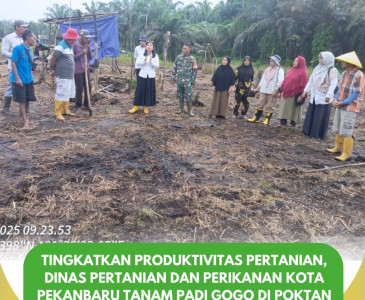 Melaksanakan Pemotongan Rutin di UPT Rumah Potong Hewan