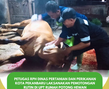 Penyuluh Perikanan Serahkan Sertifikat Halal Produk Perikanan Lokal