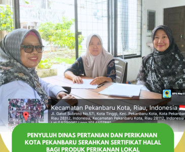 Siswa SMPN 08 melaksanakan gotong royong untuk persiapan Program Ketahanan Pangan Berbasis Sekolah “Satu Tanaman Satu Siswa