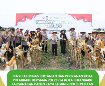 Penyuluh Dinas Pertanian dan Perikanan kota Pekanbaru Lakukan Kunjungan Ajangsana, Sosialisasikan Manfaat Berkelompok