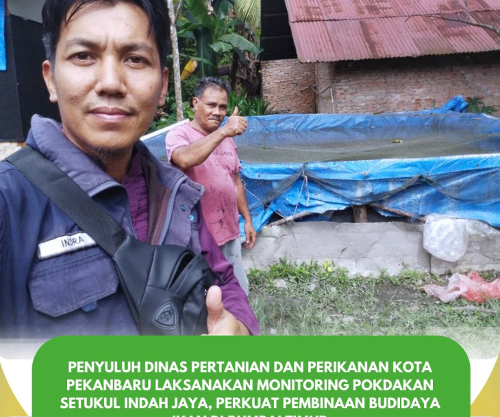 Monitoring Pokdakan Setukul Indah Jaya