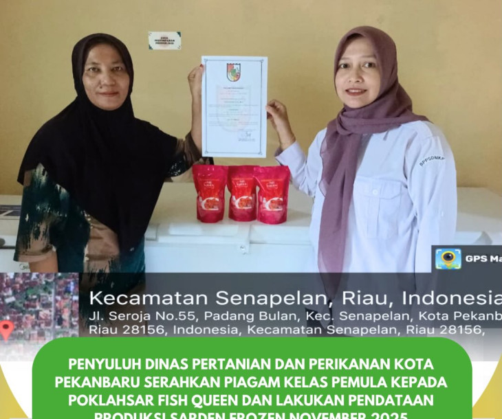 Penyuluh Dinas Pertanian dan Perikanan kota pekanbaru Laksanakan Penyerahan Piagam & Pendataan Produksi Poklahsar Fish Queen