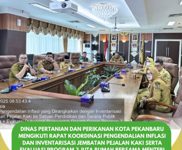 Penyuluh Dinas Pertanian dan Perikanan Kota Pekanbaru Fasilitasi Koperasi Merah Putih Gandeng Poklahsar Caneca Food Factory