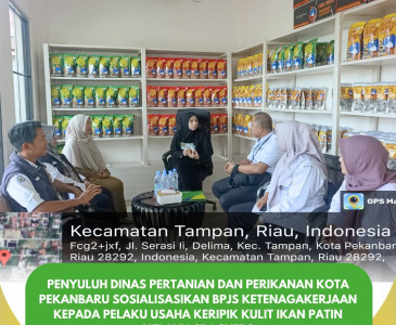 Penyuluh Dinas Pertanian dan Perikanan kota pekanbaru Laksanakan Penyerahan Piagam & Pendataan Produksi Poklahsar Fish Queen