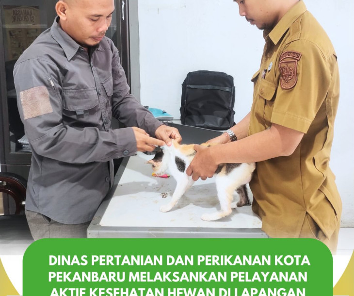 Pelayanan Aktif Kesehatan Hewan di Lapangan