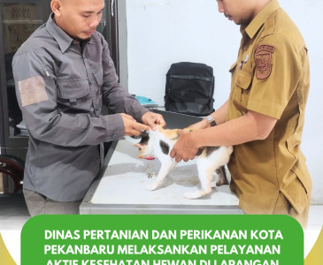 Pertemuan Bulanan KWT Putri Delima & Sosialisasi Pembentukan Kelompok Perikanan di RW 05 Sukajadi