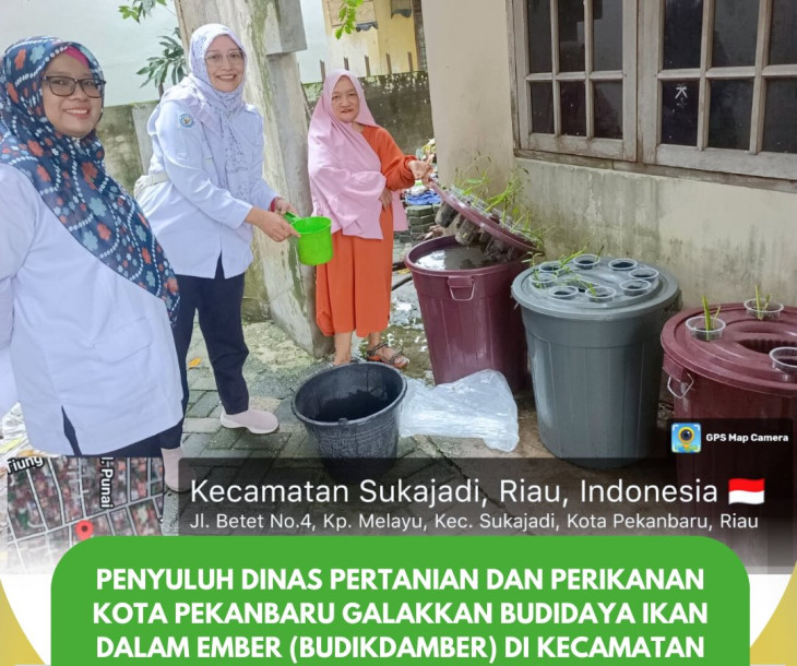 Galakkan Budidaya Ikan dalam Ember (Budikdamber) di Kecamatan Sukajadi dan Payung Sekaki