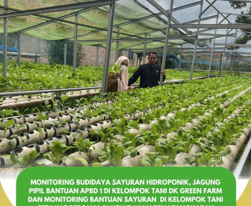 Pembentukan Pengurus Baru Gapoktan Usaha Mandiri Kelurahan Tebing Tinggi Okura