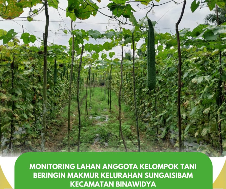 Monitoring ke lahan anggota Kelompok Tani Beringin Makmur