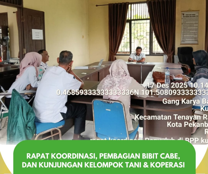 Rapat Koordinasi, Pembagian Bibit Cabe, dan Kunjungan Kelompok Tani & Koperasi