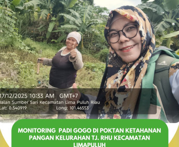 Monitoring tanaman cabai keriting bersama Kelompok Tani Karya Mandiri