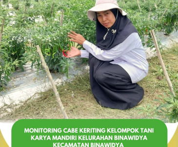 Monitoring penanaman padi gogo bersama Poktan Ketahanan Pangan