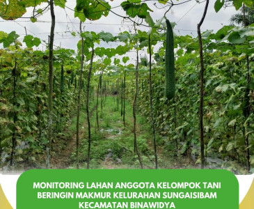 Monev Bantuan Bibit & Pakan Ikan Lele Penyuluh Perikanan Kecamatan Marpoyan Damai