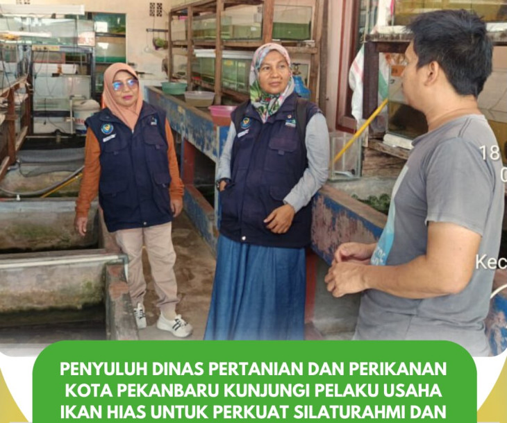 Perkuat Silaturahmi, Penyuluh dinas pertanian dan perikanan Kunjungi Pelaku Usaha Ikan Hias