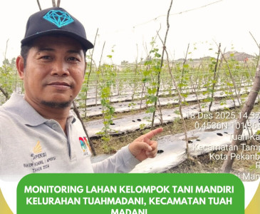 Penyerahan Bantuan & Monitoring Kegiatan KWT Karya Puan