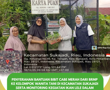 Monitoring ke Lahan Kelompok Tani Mandiri