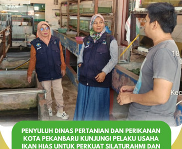 Pertemuan Kelompok Tobek Berkah Bersama Jelang Panen Ikan Lele