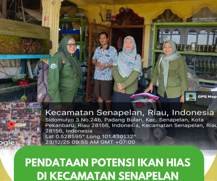 Pendataan Potensi Ikan Hias di Kecamatan Senapelan