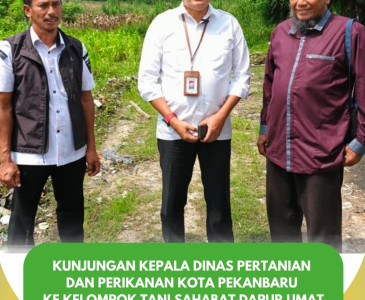 Kunjungan Kepala Dinas Pertanian dan Perikanan Kota Pekanbaru ke Pokdakan Tobek Berkah Bersama