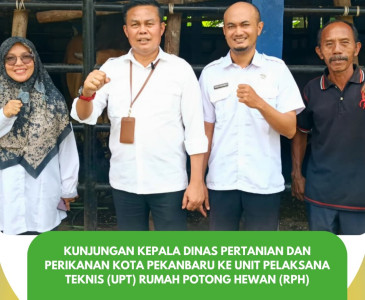 Kunjungan Kepala Dinas Pertanian dan Perikanan Kota Pekanbaru ke Pokdakan Tobek Berkah Bersama