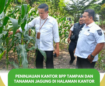 kunjungan ke Kelompok Tani Amara Jaya yang saat ini sedang melakukan kegiatan budidaya tanaman cabai