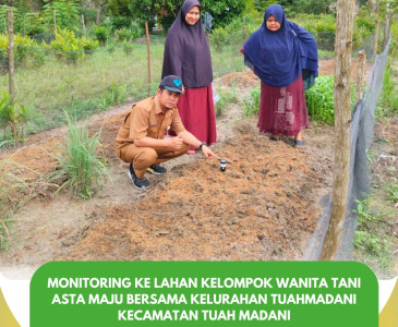 Monitoring Bantuan Jagung Pipil di Kelompok Tani Sekuntum Raya