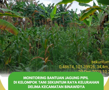 Monitoring Bantuan Padi Gogo di Kelompok Tani Beringin Jaya