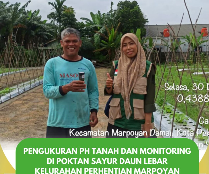 Pengukuran pH Tanah & Monitoring Tanaman di Poktan Sayur Daun Lebar