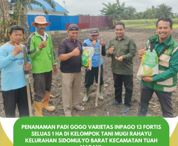 Monitoring Bantuan Padi Gogo di Kelompok Tani Beringin Jaya