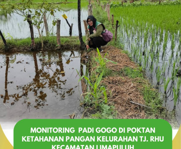 Diskusi Hasil Survei Lokasi Groundbreaking Program Pengembangan Hilirisasi Industri Peternakan Ayam Terintegrasi