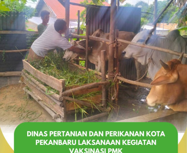 Konsolidasi Penderasan Informasi Pembangunan Pertanian dan Optimalisasi Peran Penyuluh Pertanian