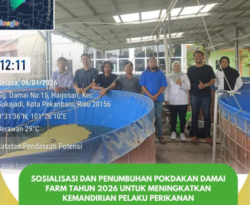 Penyuluh Perikanan Peninjauan Langsung Kondisi Kolam