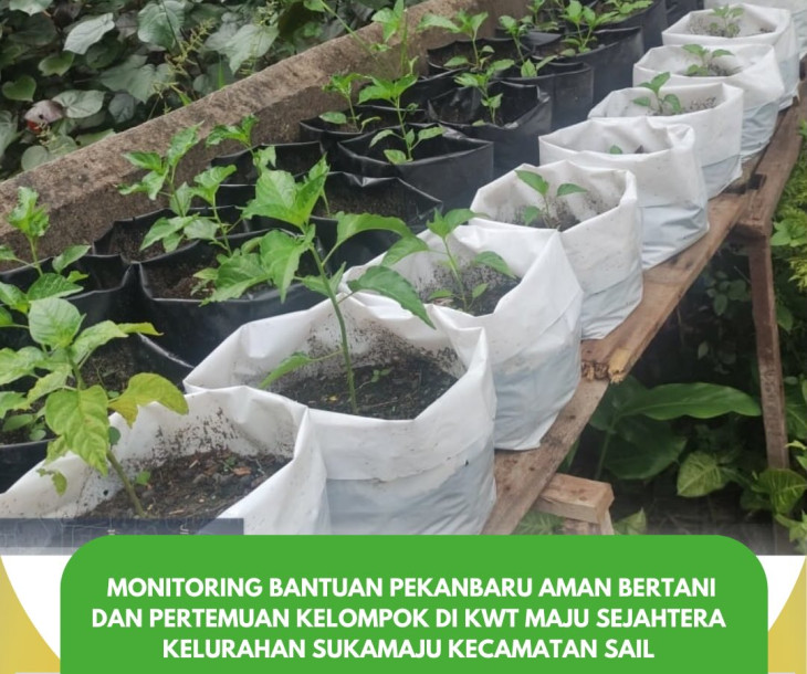 Monitoring Bantuan Pekanbaru Aman Bertani & Pertemuan Kelompok KWT Maju Sejahtera