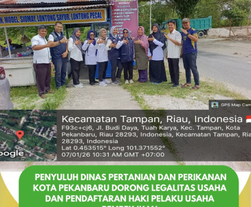 Wali Kota Pekanbaru Menyapa Petani | Syukuran Swasembada Pangan