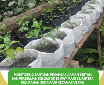 Penyuluh Dinas Pertanian dan Perikanan Kota Pekanbaru Lakukan Monev Bantuan Bibit & Pakan Lele